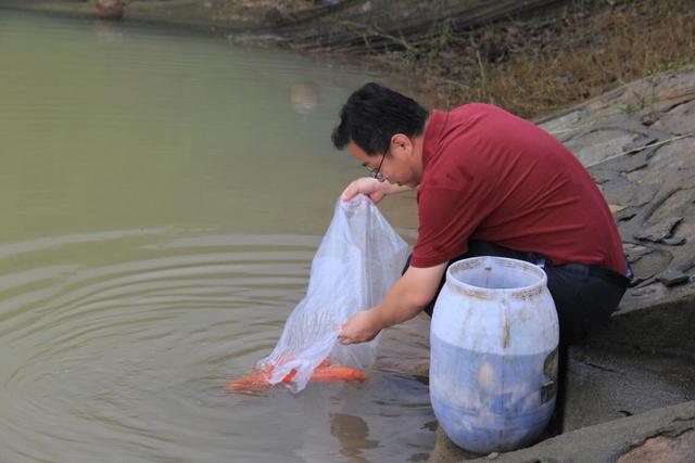 生生物