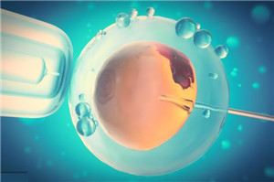 冷冻胚胎