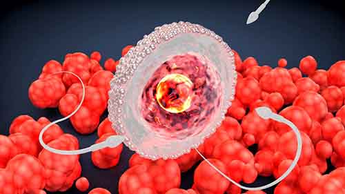 瓜果蔬菜农药残留试管婴儿成功