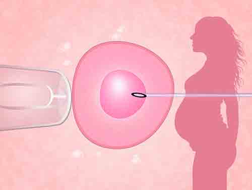 隐形因素造成试管移植后胚胎停育