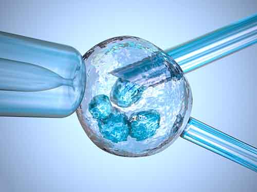 试管婴儿冻胚移植的成功率