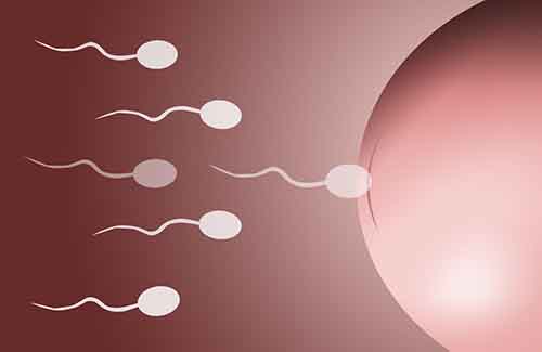 试管婴儿:男性精子畸形怎么办?还可以拥有自己的孩子吗