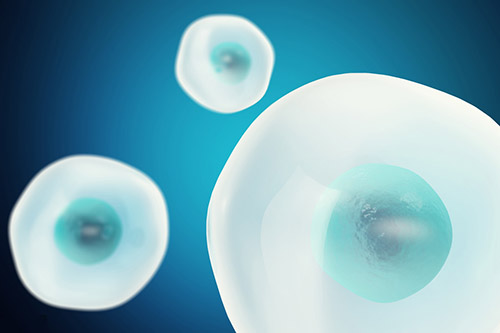 多囊卵巢综合征患者的卵泡是否就是质量就比正常人的卵泡差？不容易受精？