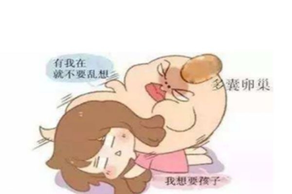 多囊患者应恢复月经规律再怀孕吗