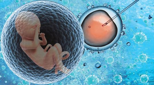 试管胚胎移植后感冒了怎么办？
