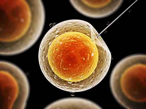 体外培养试管婴儿胚胎安全吗？