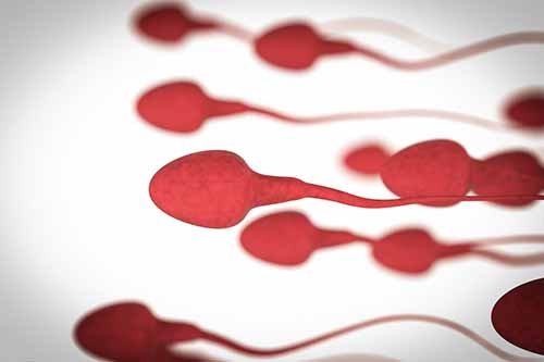 不孕不育也许是精子DNA碎片惹的祸
