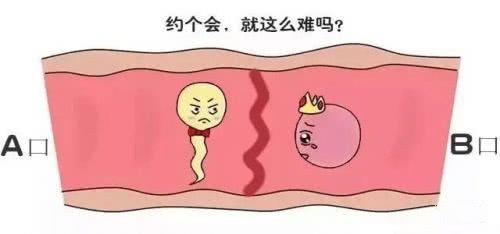 做试管精卵结合失败，是精子的不追求还是卵子的不挽留？