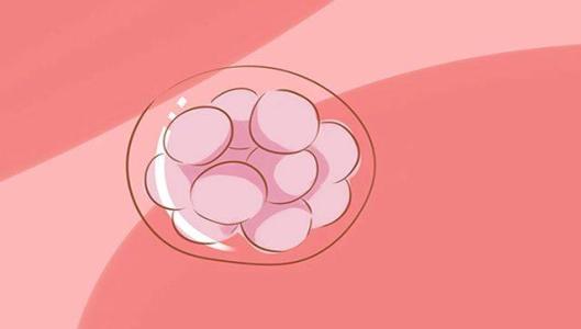 我的胚胎能冷冻保存多久？