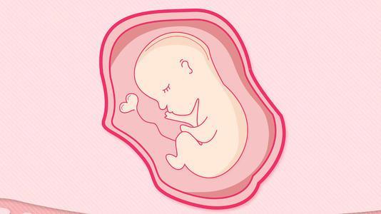 新鲜胚胎移植和冷冻胚胎移植有什么不同呢？