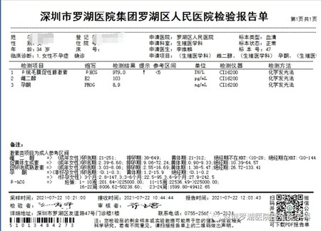 报告单