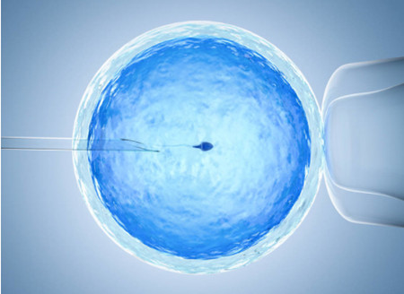 1652924165133809.jpg 1.jpg