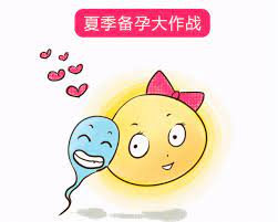 夏季备孕.jpg